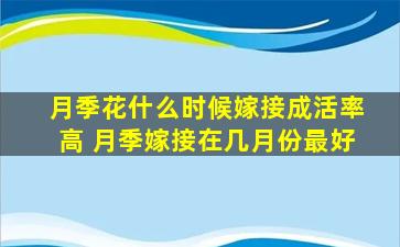 月季花什么时候嫁接成活率高 月季嫁接在几月份最好